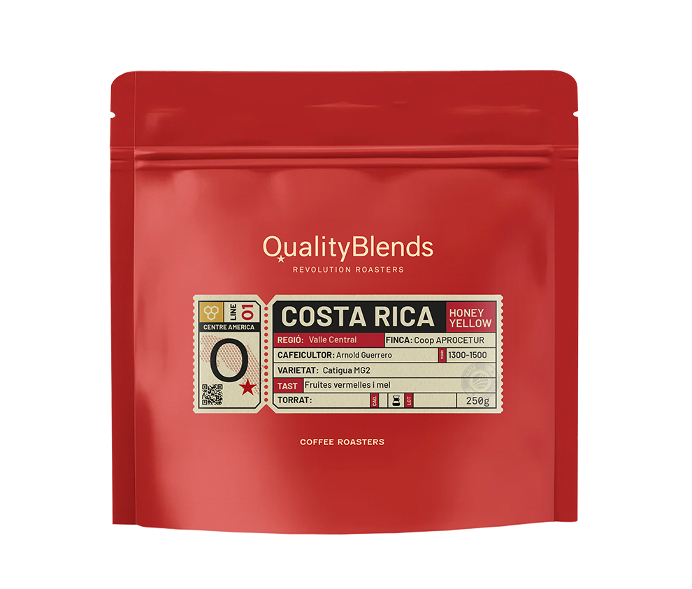 Costa Rica – Turrubares Aprocetu Catigua – Yellow Honey