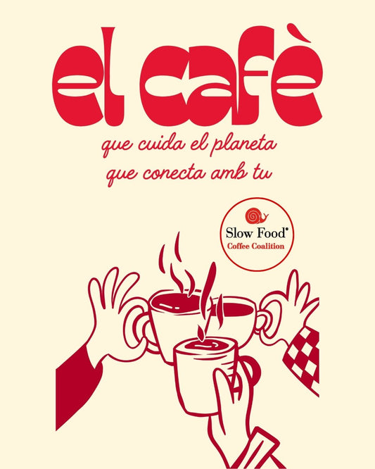 Certificacions de cafè: entre el màrqueting i la traçabilitat real