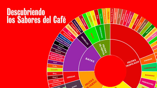 Descubriendo los Sabores del Café: Una Guía para Principiantes