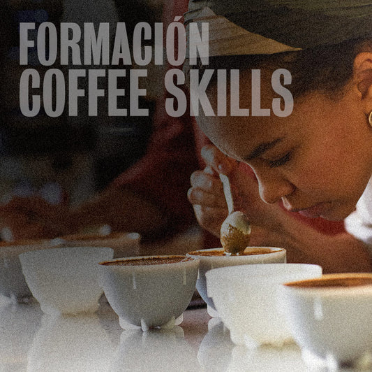 COFFE SKILLS TRAINING (4h)