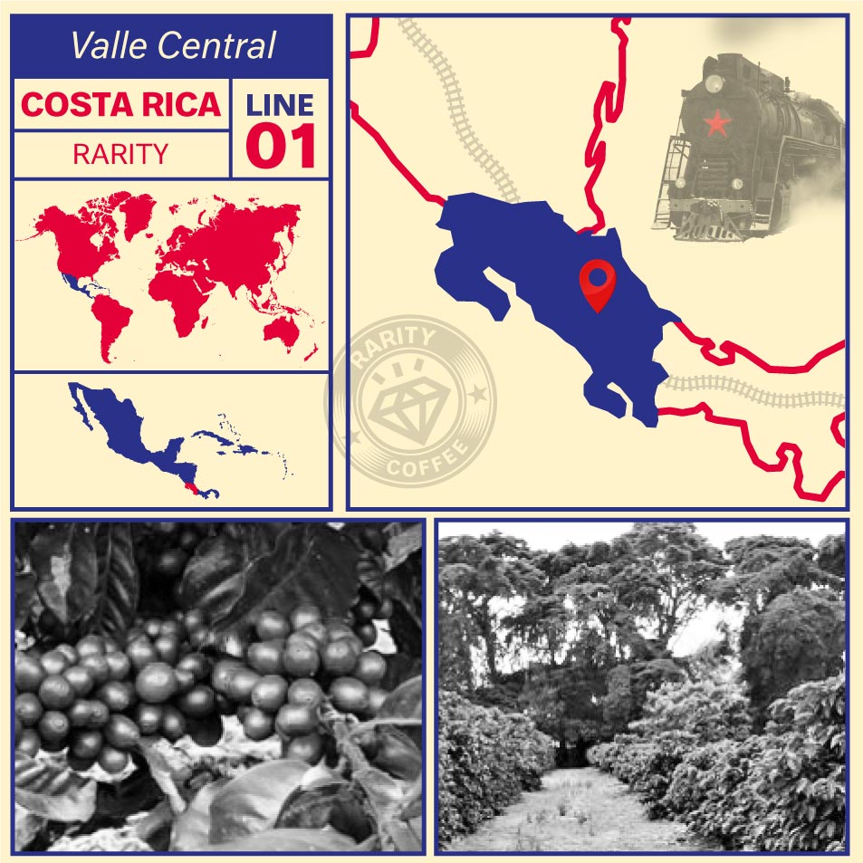 EXCLUSIVE SUBSCRIPTION ORIGIN COSTA RICA