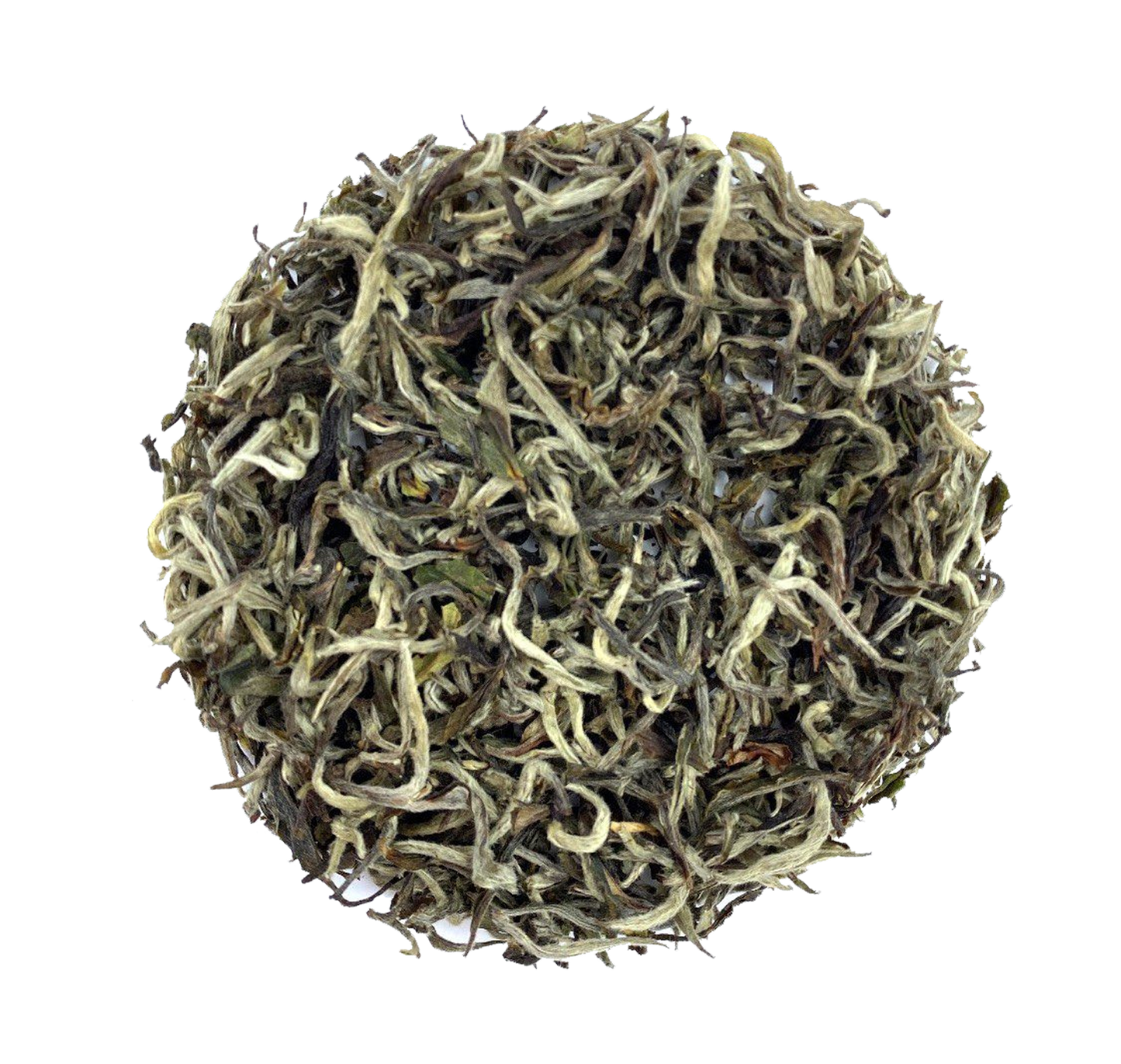 Himalayan Snow Mountain BIO