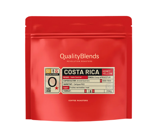 Costa Rica – Turrubares Aprocetu Catigua – Yellow Honey