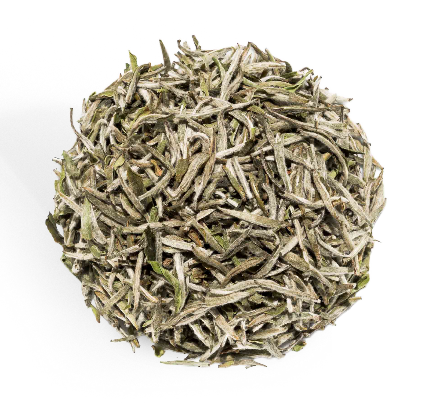 Yin Zhen Silverneedle BIO